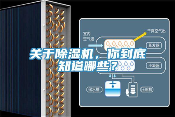 關於杏仁视频APP成人官方污，你到底知道哪些？