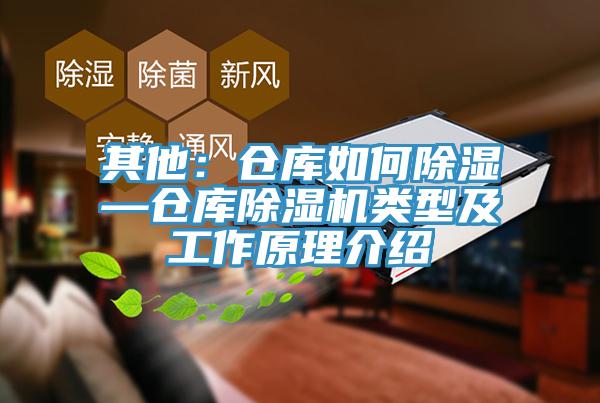 其他：倉庫如何除濕—倉庫杏仁视频APP成人官方污類型及工作原理介紹