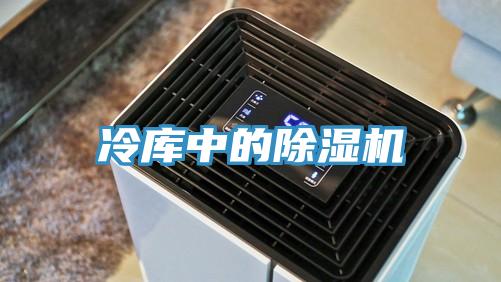 冷庫中的杏仁视频APP成人官方污