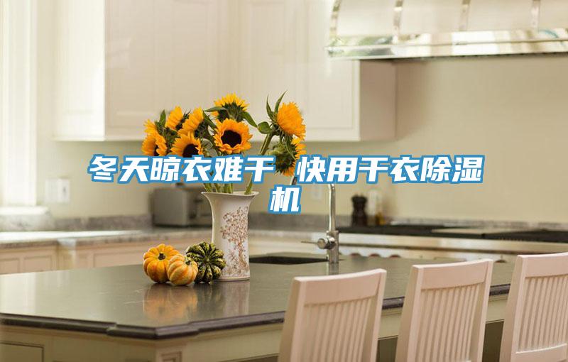 冬天晾衣難幹 快用幹衣杏仁视频APP成人官方污