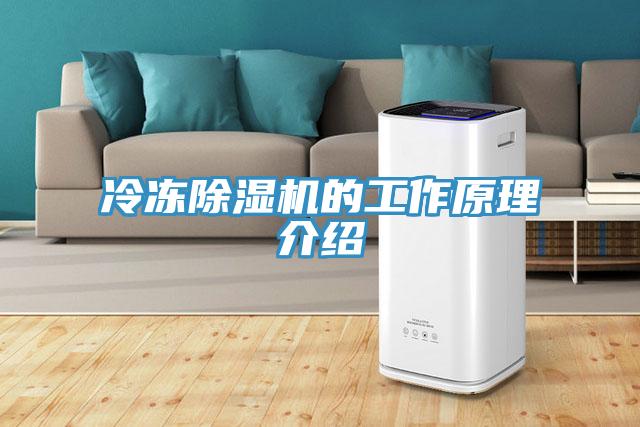 冷凍杏仁视频APP成人官方污的工作原理介紹