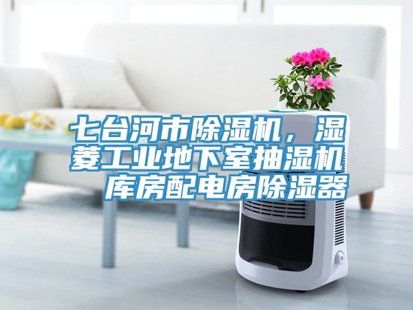 七台河市杏仁视频APP成人官方污，濕菱工業地下室抽濕機  庫房配電房除濕器