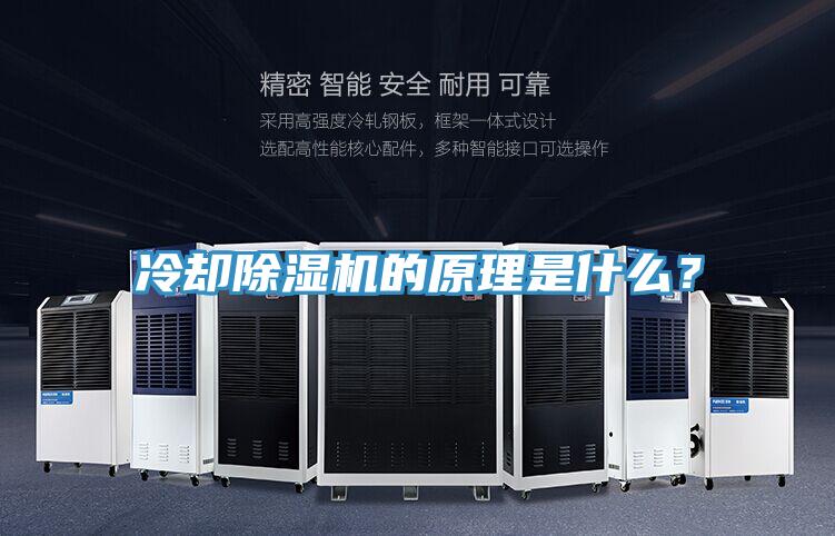 冷卻杏仁视频APP成人官方污的原理是什麽？