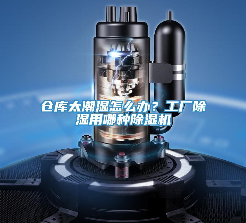 倉庫太潮濕怎麽辦？工廠除濕用哪種杏仁视频APP成人官方污