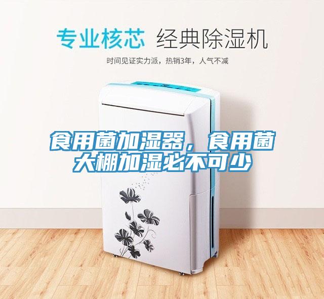 食用菌加濕器，食用菌大棚加濕必不可少