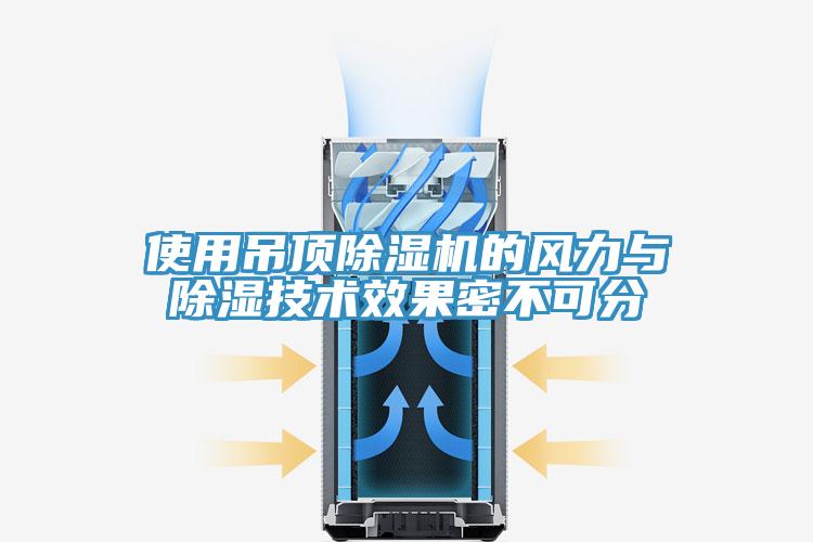 使用吊頂杏仁视频APP成人官方污的風力與除濕技術效果密不可分