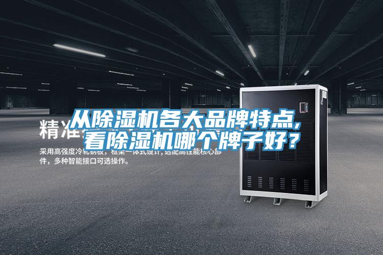 從杏仁视频APP成人官方污各大品牌特點, 看杏仁视频APP成人官方污哪個牌子好？