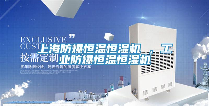 上海防爆恒溫恒濕機 ，工業防爆恒溫恒濕機