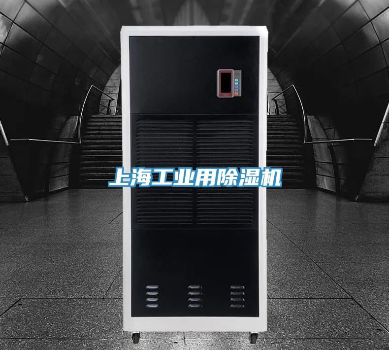 上海工業用杏仁视频APP成人官方污