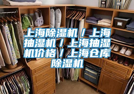 上海杏仁视频APP成人官方污／上海抽濕機／上海抽濕機價格／上海倉庫杏仁视频APP成人官方污
