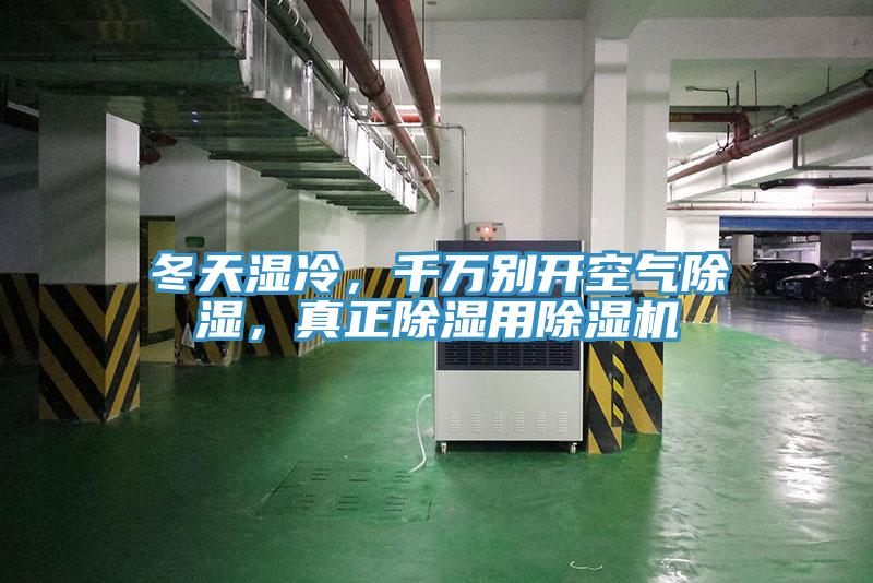 冬天濕冷，千萬別開空氣除濕，真正除濕用杏仁视频APP成人官方污