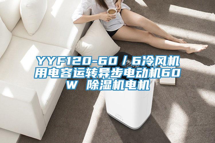 YYF120-60／6冷風機用電容運轉異步電動機60W 杏仁视频APP成人官方污電機