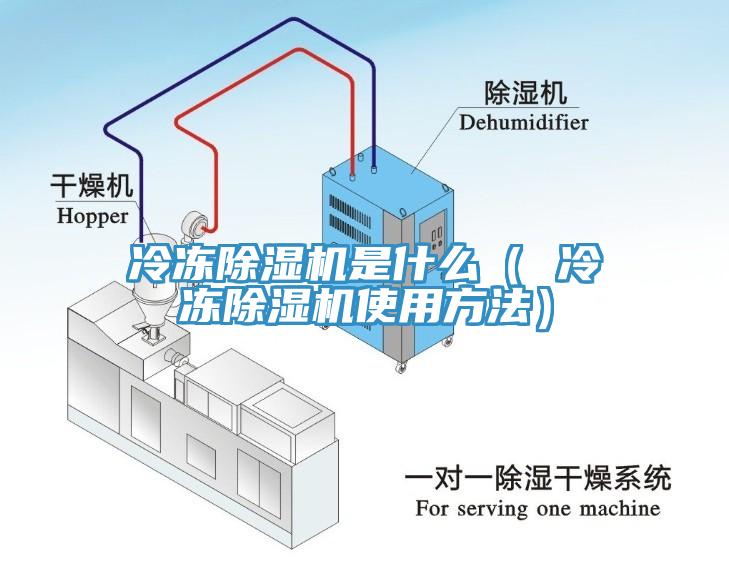 冷凍杏仁视频APP成人官方污是什麽（ 冷凍杏仁视频APP成人官方污使用方法）