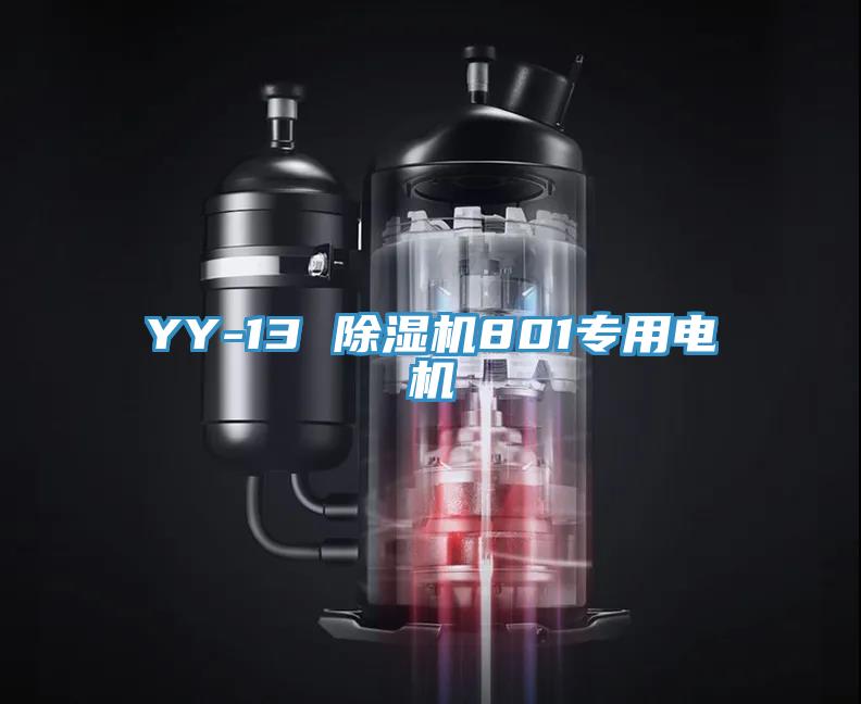 YY-13 杏仁视频APP成人官方污801專用電機