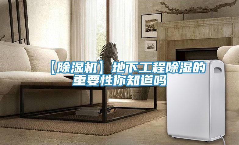【杏仁视频APP成人官方污】地下工程除濕的重要性你知道嗎
