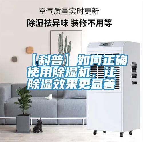 【科普】如何正確使用杏仁视频APP成人官方污，讓除濕效果更顯著