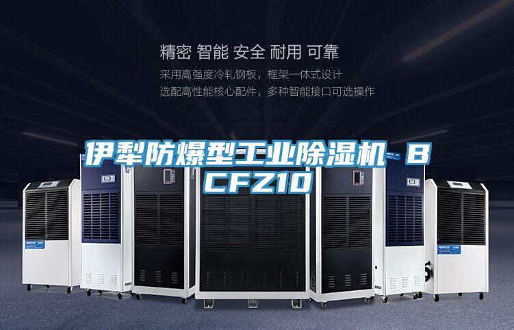 伊犁防爆型工業杏仁视频APP成人官方污 BCFZ10