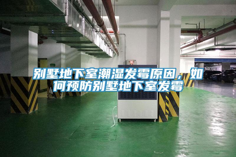 別墅地下室潮濕發黴原因，如何預防別墅地下室發黴