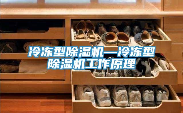 冷凍型杏仁视频APP成人官方污—冷凍型杏仁视频APP成人官方污工作原理