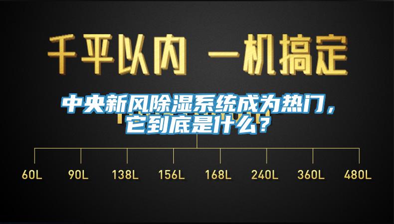 中央新風除濕係統成為熱門，它到底是什麽？