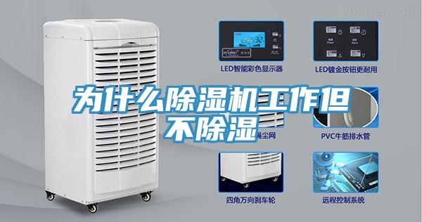 為什麽杏仁视频APP成人官方污工作但不除濕