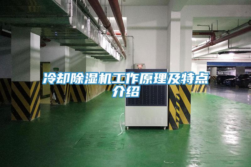 冷卻杏仁视频APP成人官方污工作原理及特點介紹