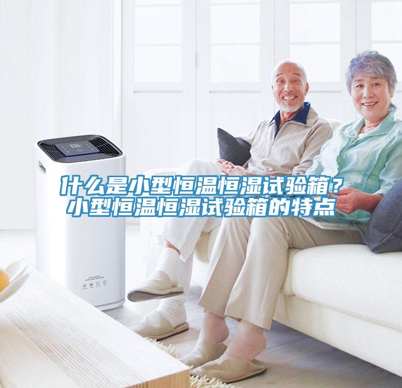 什麽是小型恒溫恒濕試驗箱？小型恒溫恒濕試驗箱的特點