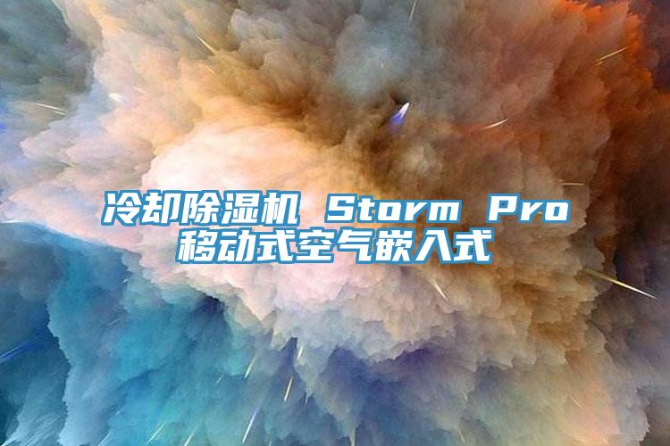 冷卻杏仁视频APP成人官方污 Storm Pro移動式空氣嵌入式
