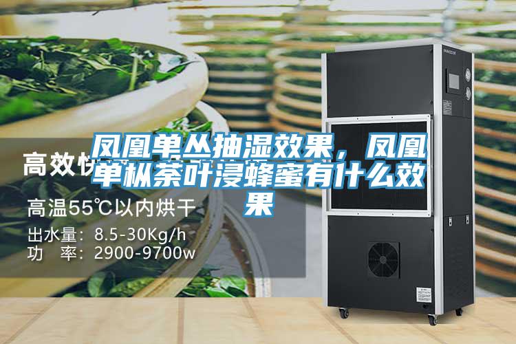 鳳凰單叢抽濕效果，鳳凰單樅荼葉浸蜂蜜有什麽效果