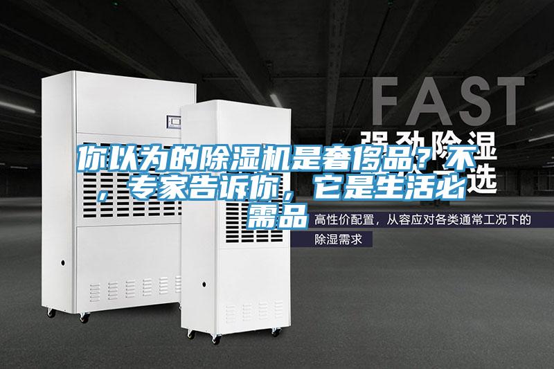 你以為的杏仁视频APP成人官方污是奢侈品？不，專家告訴你，它是生活必需品