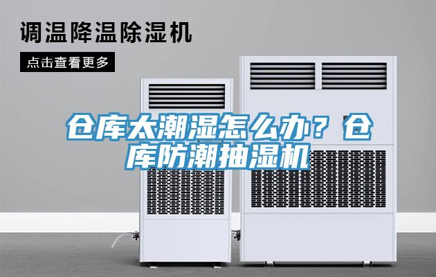 倉庫太潮濕怎麽辦？倉庫防潮抽濕機
