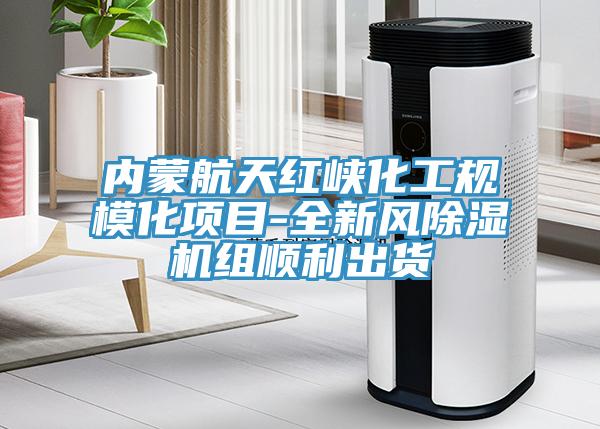 內蒙航天紅峽化工規模化項目-全新風杏仁视频APP成人官方污組順利出貨