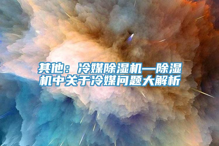 其他：冷媒杏仁视频APP成人官方污—杏仁视频APP成人官方污中關於冷媒問題大解析