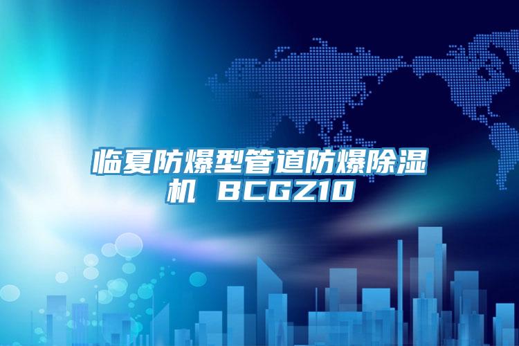 臨夏防爆型管道防爆杏仁视频APP成人官方污 BCGZ10