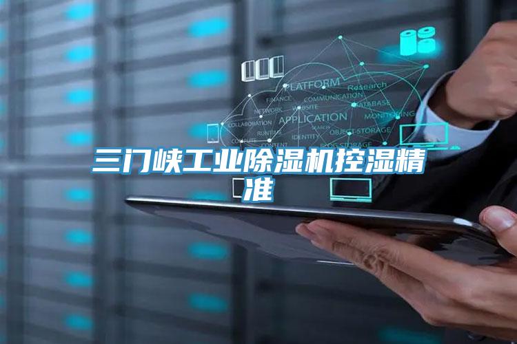 三門峽工業杏仁视频APP成人官方污控濕精準