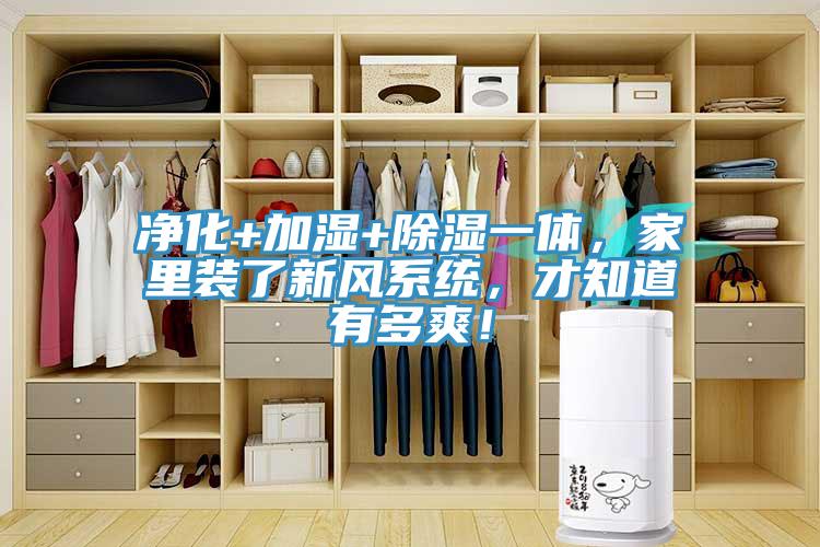 淨化+加濕+除濕一體，家裏裝了新風係統，才知道有多爽！