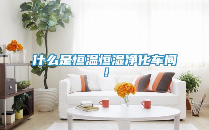 什麽是恒溫恒濕淨化車間！