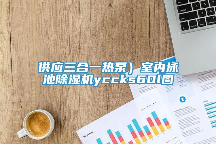 供應三合一熱泵）室內泳池杏仁视频APP成人官方污yccks60l圖