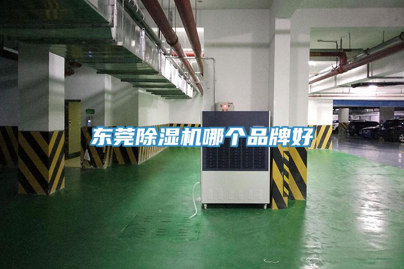 東莞杏仁视频APP成人官方污哪個品牌好