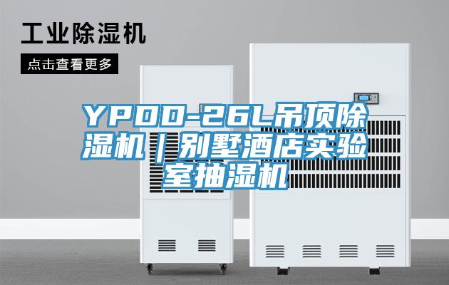 YPDD-26L吊頂杏仁视频APP成人官方污｜別墅酒店實驗室抽濕機