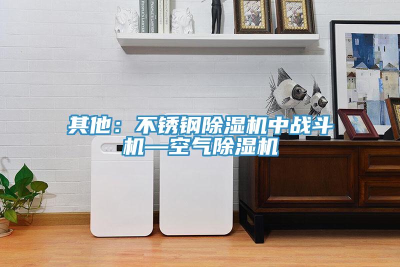 其他：不鏽鋼杏仁视频APP成人官方污中戰鬥機—空氣杏仁视频APP成人官方污