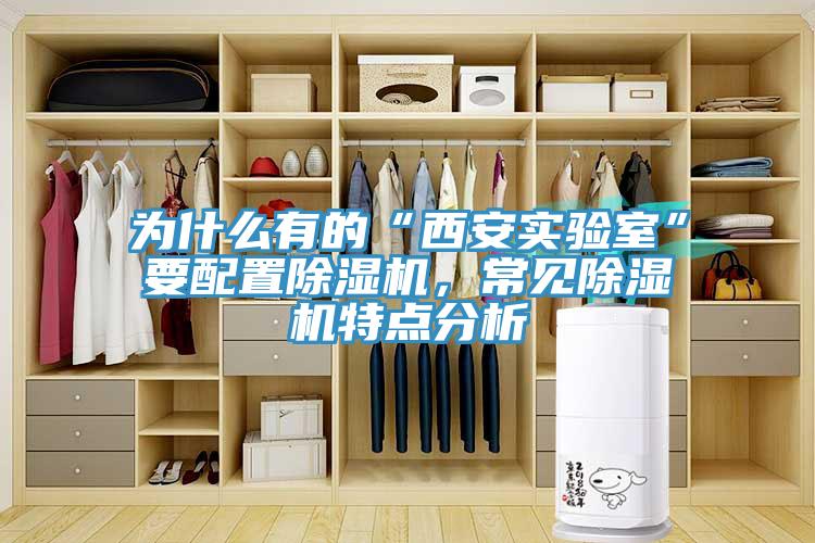為什麽有的“西安實驗室”要配置杏仁视频APP成人官方污，常見杏仁视频APP成人官方污特點分析