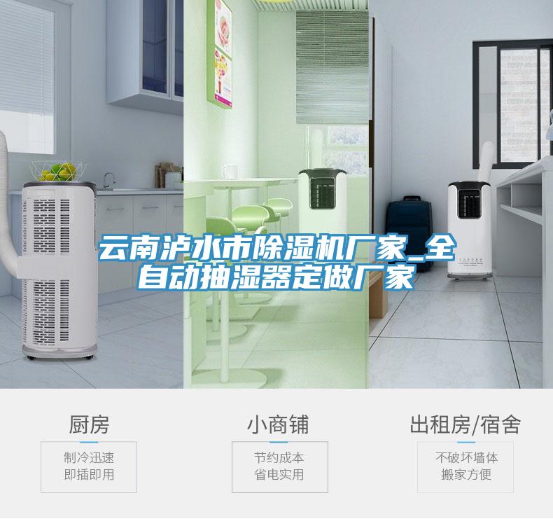 雲南瀘水市杏仁视频APP成人官方污廠家_全自動抽濕器定做廠家