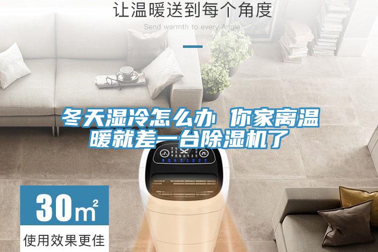 冬天濕冷怎麽辦 你家離溫暖就差一台杏仁视频APP成人官方污了