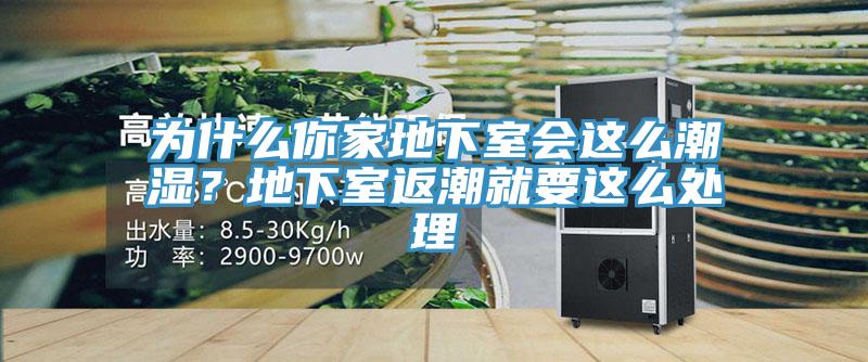 為什麽你家地下室會這麽潮濕？地下室返潮就要這麽處理
