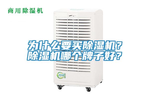 為什麽要買杏仁视频APP成人官方污？杏仁视频APP成人官方污哪個牌子好？