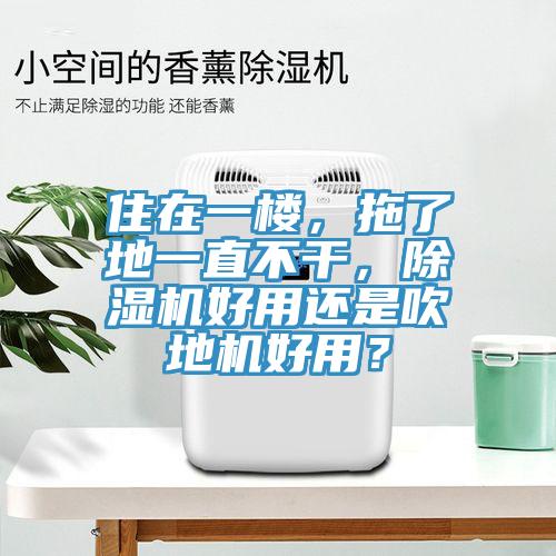 住在一樓，拖了地一直不幹，杏仁视频APP成人官方污好用還是吹地機好用？