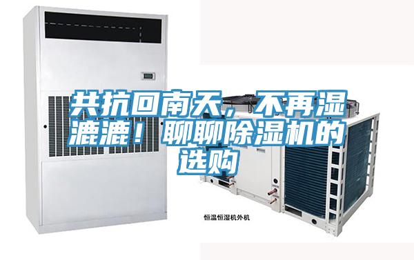 共抗回南天，不再濕漉漉！聊聊杏仁视频APP成人官方污的選購