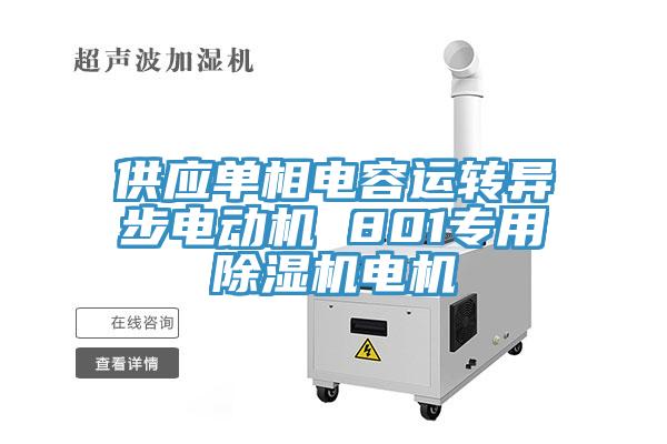 供應單相電容運轉異步電動機 801專用杏仁视频APP成人官方污電機