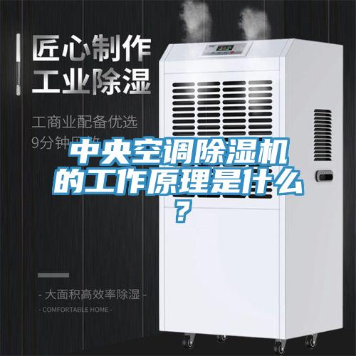 中央空調杏仁视频APP成人官方污的工作原理是什麽？